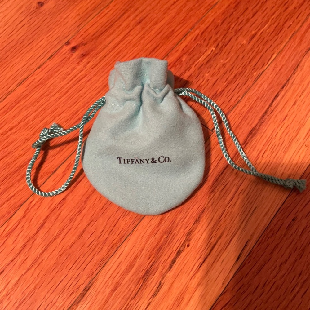 Tiffany & Co Storage Pouch